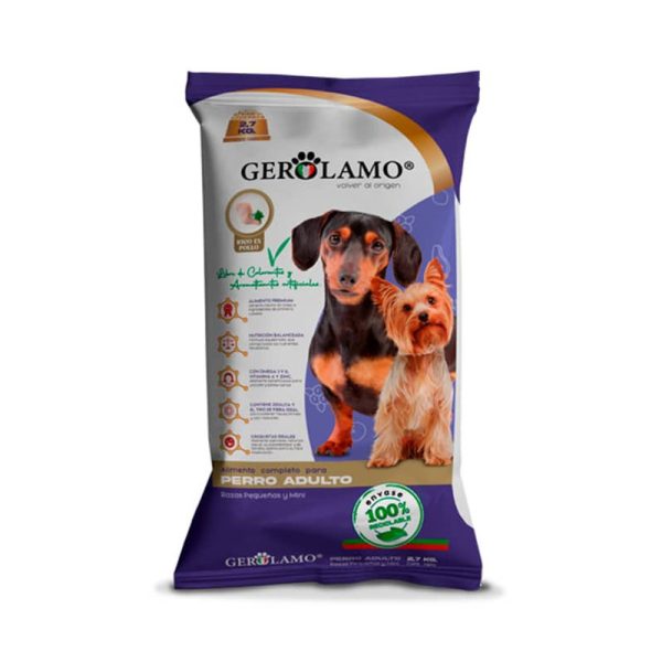 gerolamo-perro-adulto-razas-pequeñas