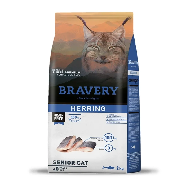 Bravery-Herring-Senior-Cat-2