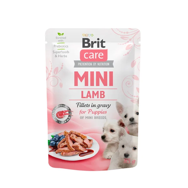 mini-lamb-puppy-