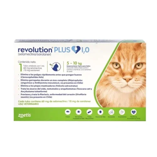 Revolution Plus Gato 5 - 10kg